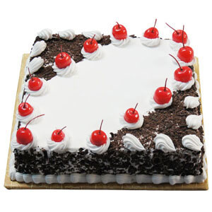 Black Forest Choco Vanilla