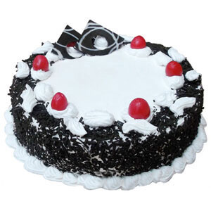 Square Black Forest Cake